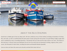 Tablet Screenshot of bluedolphininn.net